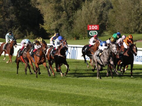 Heimsieg durch Grey Darling – Schimmelstute vorne für Hillis Grey Darling siegt unter Miguel Lopez