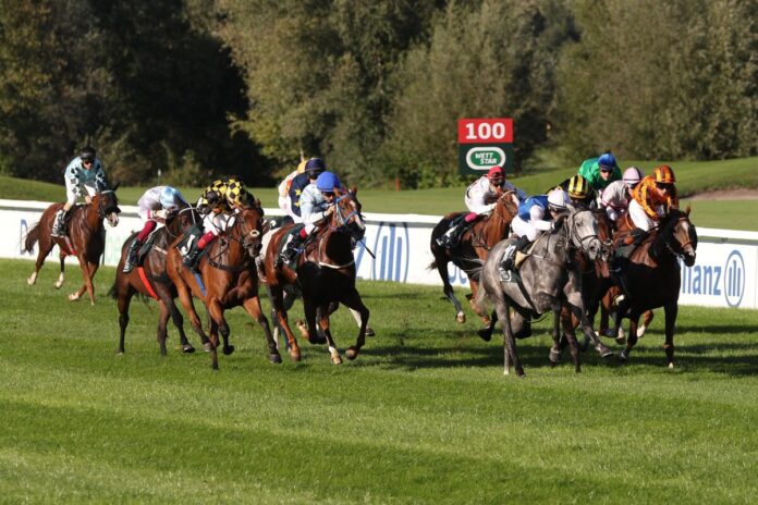 Grey Darling siegt unter Miguel Lopez