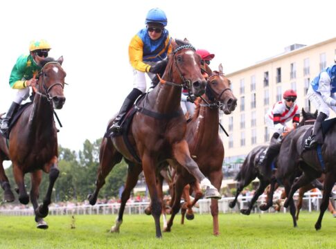 Am Samstag: Finale im Herrenkrug mit BBAG-Auktionsrennen Nordstar