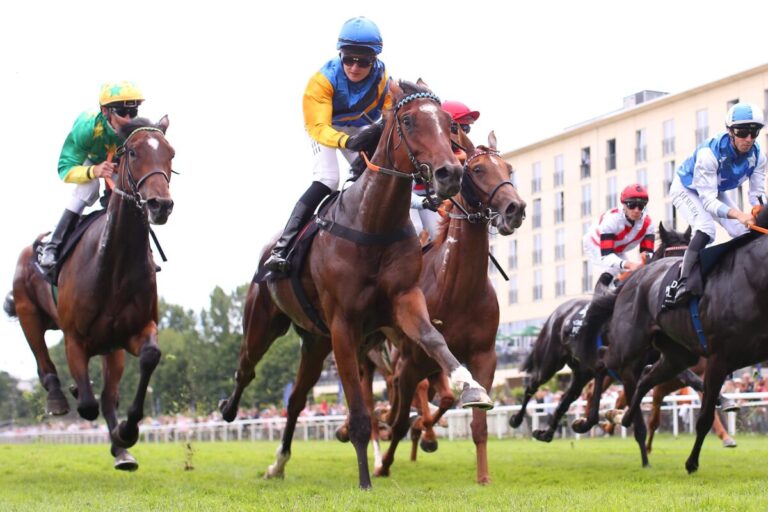 Am Samstag: Finale im Herrenkrug mit BBAG-Auktionsrennen