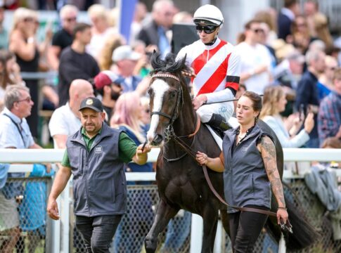 Letzter "Klassiker" am Sonntag - Sieben im St. Leger WALDNEBEL