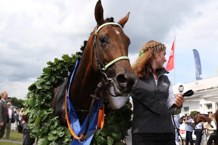 Hochkönig nach dem Derbysieg von Hamburg Hochkönig nach dem Derbysieg von Hamburg