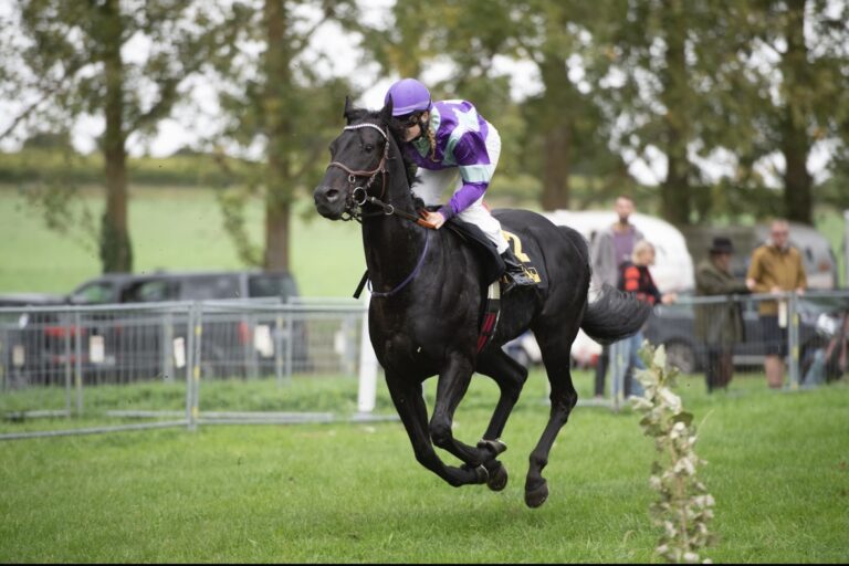 Dreifacherfolg für Nora Cronauer in Billigheim