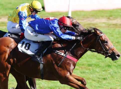 Auch David Liska mit drittem Meetingstreffer Imani siegt unter David Liska