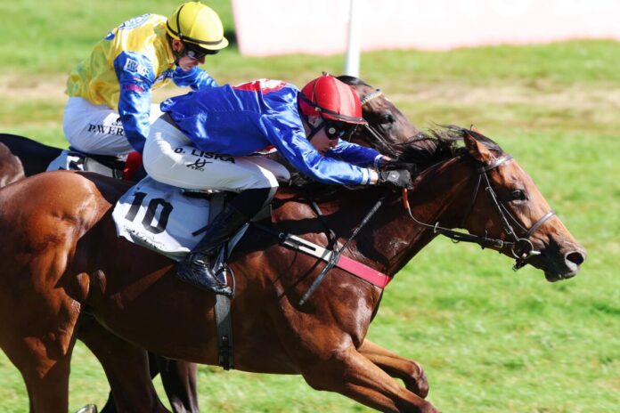 Imani siegt unter David Liska