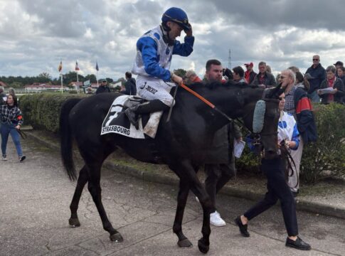 Straßburg: Karinas Dream ist Weißmeiers 200. Sieger Karinas Dream_NEU