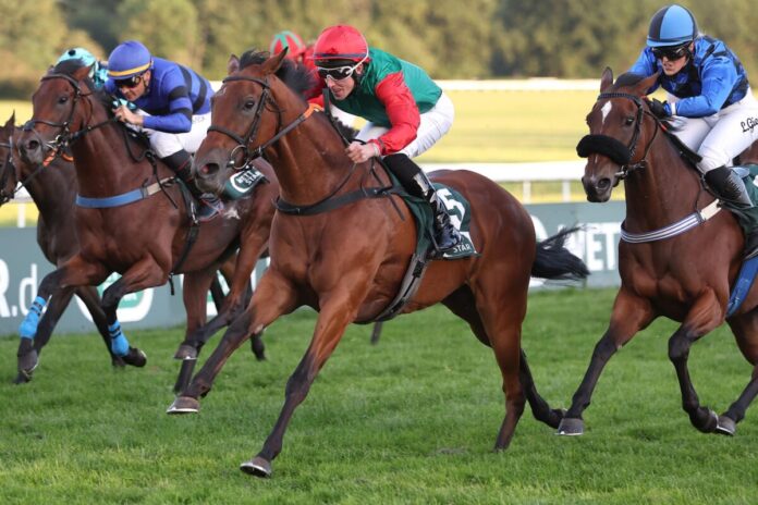 Amelia Sedley siegt unter Matthew S. Johnson