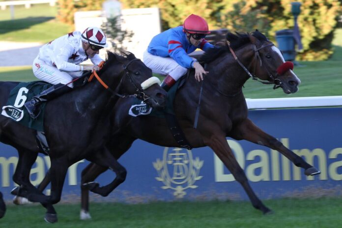 Leon siegt unter Rene Piechulek
