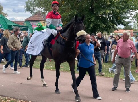Limbo Dancer tanzt die Gegner aus – Sieg im Fegentri-Rennen Limbo Dancer