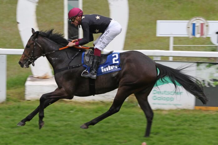 Russian Sochi siegt unter Alexander Pietsch