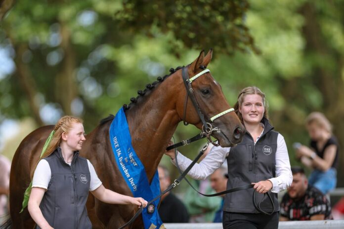 Der Derbysieger Hochkönig wird vom Rennclub geehrt