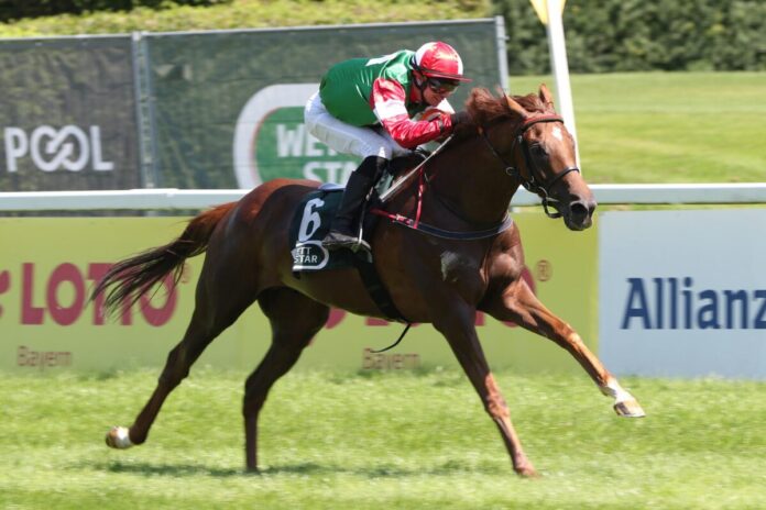 New Diamond siegt unter Miguel Lopez