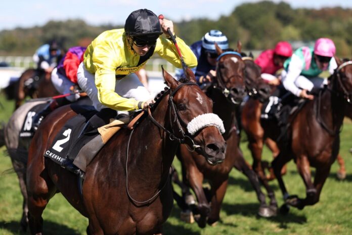 Miss Information siegt unter Callum Hutchinson im Wackenhut Fillies Cup, Listenrennen