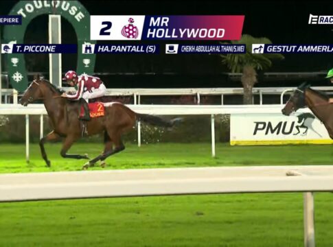 Mr Hollywood – Endlich wieder Sieg und jetzt zur Arc Sale Mr Hollywood