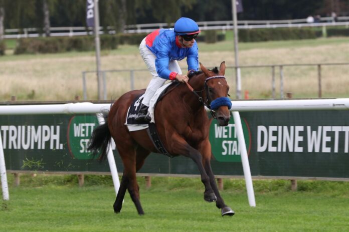 Nardos siegt unter Thore Hammer-Hansen