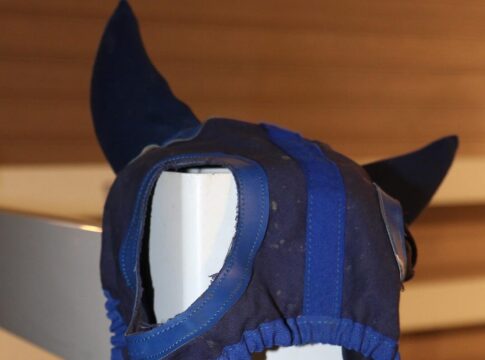 Änderung im Programm: El Faras ohne, Small Fires mit Hilfsmittel Ohrenkappe