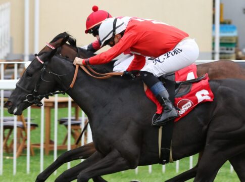 Nightdance Giulia: Gekauft, gewonnen und Smrczeks 900. Nightdance Giulia siegt unbter Nicol Poli