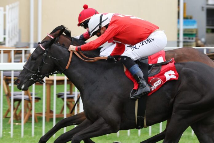 Nightdance Giulia siegt unbter Nicol Poli