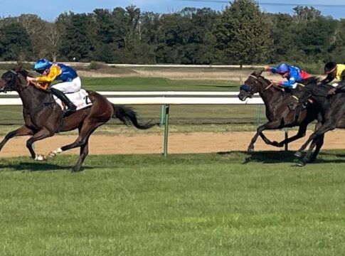 David Liska on fire - Nordstar gewinnt BBAG Auktionsrennen als Siegloser Nordstar