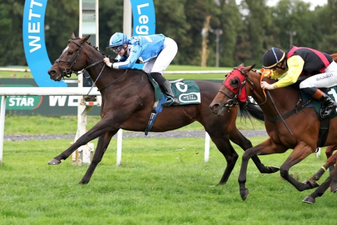 Orthos siegt unter Silke Brüggemann