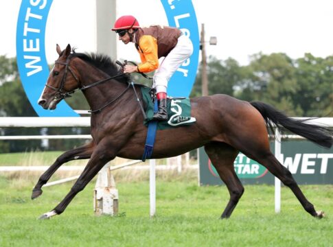 Lesen lohnt sich: Wöhlers Royal Ito setzt Arbeitsleistungen top um Royal Ito siegt unter Andrasch Starke