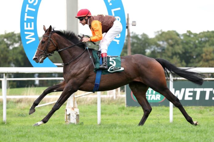 Royal Ito siegt unter Andrasch Starke