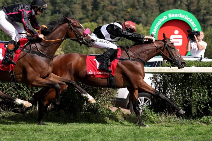 Doro siegt unter Kevin Braye