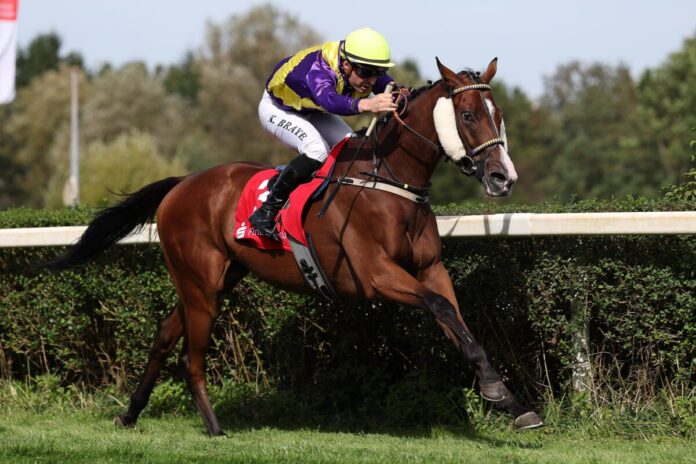 Koelle siegt unter Kevin Braye