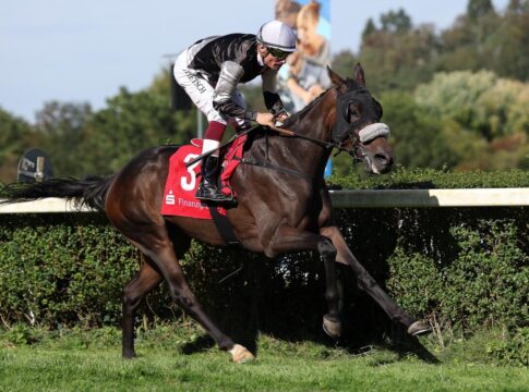 Auch Grewe feiert einen Sieg in Saarbrücken - Dawn Sky gewinnt Hauptrennen Dawn Sky siegt unter Alexander Pietsch