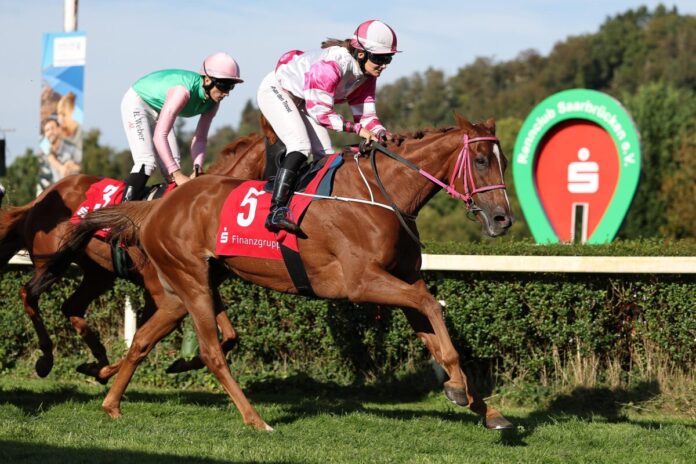Zarqana siegt unter Anna van den Troost