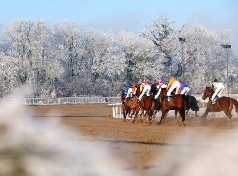 49 Rennen an 7 Renntagen – Termine Sandbahnsaison 2025/2026 veröffentlicht 49 Rennen an 7 Renntagen – Termine Sandbahnsaison 2025/2026 veröffentlicht