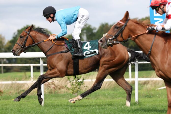 Salonglaenzende siegt unter Adrie de Vries