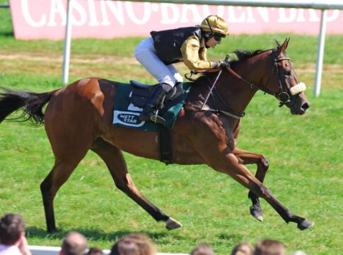 Heimsieg - Santino Corleone nach Platz drei nun auf Kurs Santino Corleone siegt unter Anna-Lena Weidler