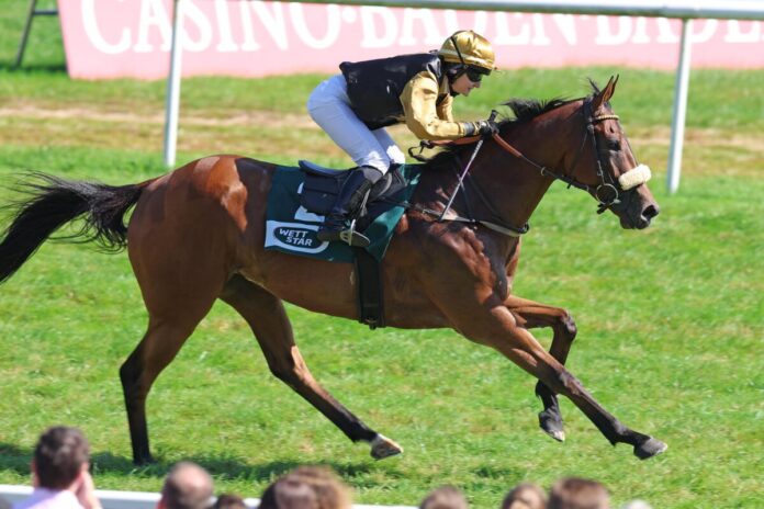 Santino Corleone siegt unter Anna-Lena Weidler Santino Corleone siegt unter Anna-Lena Weidler