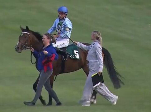 Silvestra rauscht zum Sieg – Waldgeist-Tochter gewinnt bei Start Nummer 18 Silvestra