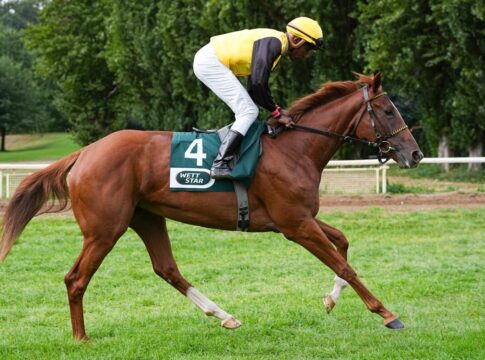 Chiefland raus – Noch sechs im Junioren-Preis Soreanga