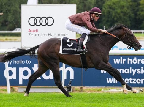 „Schnellste Maus von Düsseldorf“? Speedy Gonzales im Auktionsrennen? Speedy Gonzales siegt unter Martin Seidl