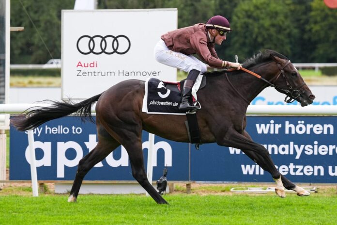 Speedy Gonzales siegt unter Martin Seidl Speedy Gonzales siegt unter Martin Seidl