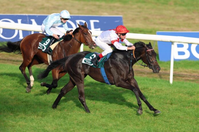 Springtime siegt unter Andrasch Starke Springtime siegt unter Andrasch Starke