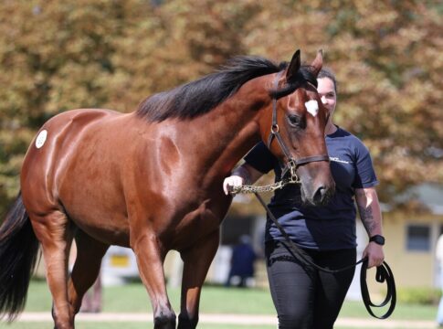 Brümmerhof auf beiden Seiten aktiv - 155.000 Euro für Wittekindshoferin Sure Nature