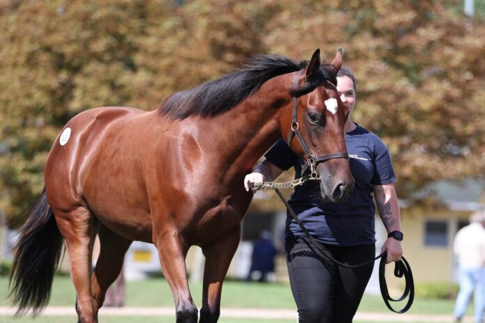 Sure Nature Sure Nature