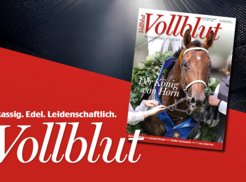 Die neue Ausgabe der VOLLBLUT kommt - Jetzt bestellen! VB 282_GOL-Teaser