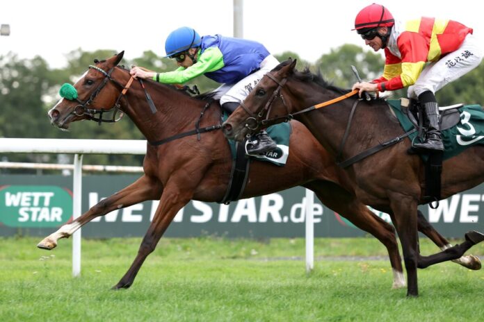 Valzeina siegt unter Antoine Hamelin im Preis der Stadt Dortmund - BBAG Auktionsrennen