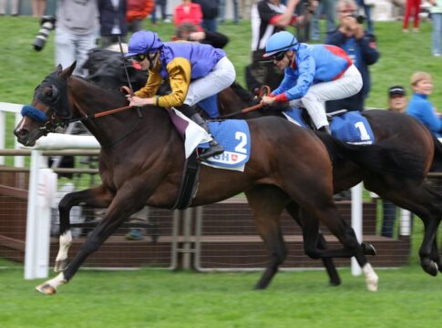 Warren Hill schlägt Next Mine – Grewe auch im Auktionsrennen Hannover Warren Hill siegt unter Leon Wolff im Gro§er Preis der VGH Versicherungen – BBAG-Auktionsrennen