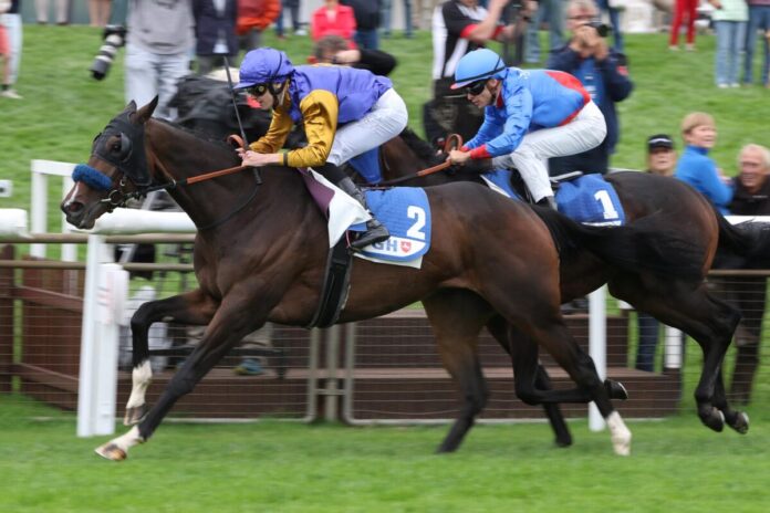 Warren Hill siegt unter Leon Wolff im Gro§er Preis der VGH Versicherungen - BBAG-Auktionsrennen