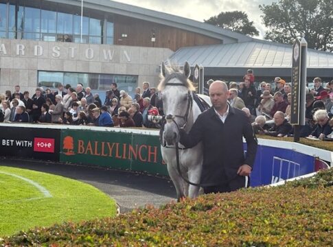 White Birch-Lager hofft auf weichen Boden im Arc White Birch