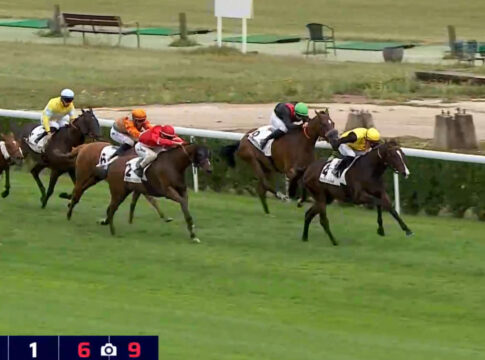 Subis Zacapo gewinnt Verkaufsrennen in Saint-Cloud - Dann Verkauf! Zacapo gewinnt in Saint-Cloud Foto: Screenhot