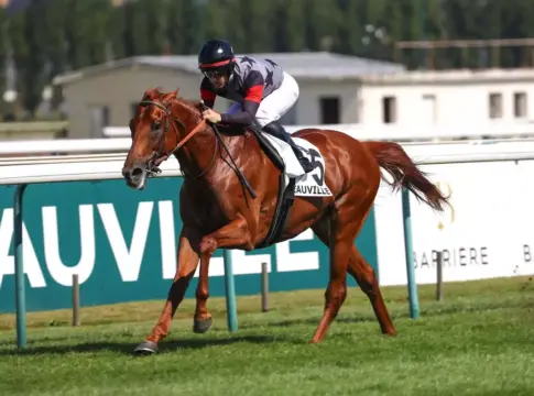 Prix de l'Arc de Triomphe: Alohi Alii testet Bahn von Longchamp alohi-alii.jpg