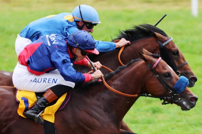 Enzian (vorne) nickt gegen Zauberkönig ein