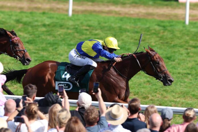 Goliath gewinnt den den 155. Großen Preis von Baden